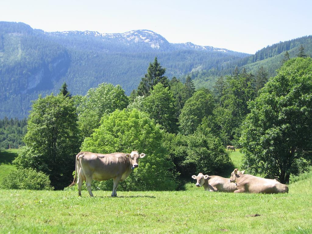 Bauernhof Haim-Schnepfleitner Pichl bei Aussee Esterno foto